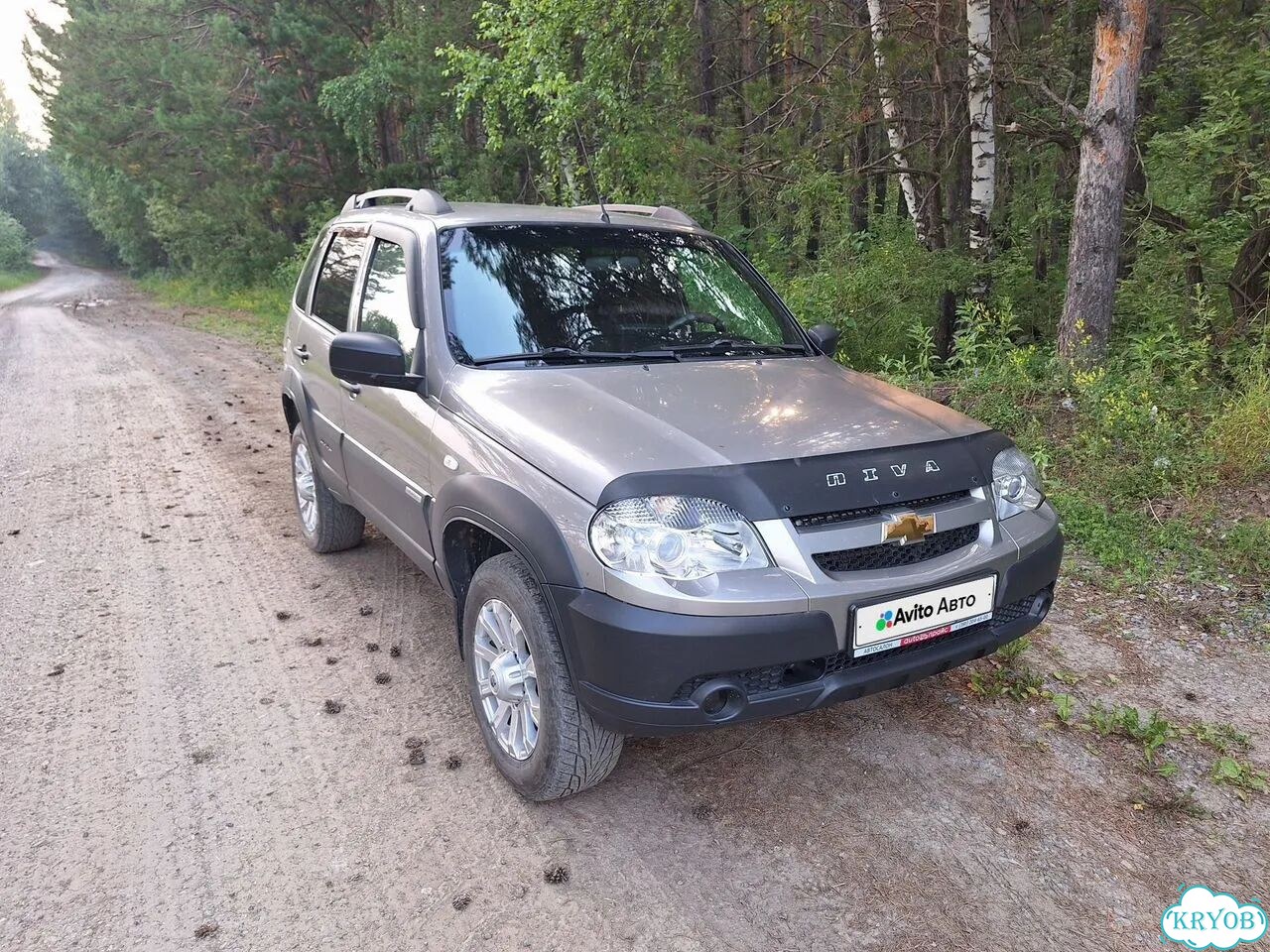 Chevrolet Niva 1.7 MT, 2018, 100 000 км фото 1