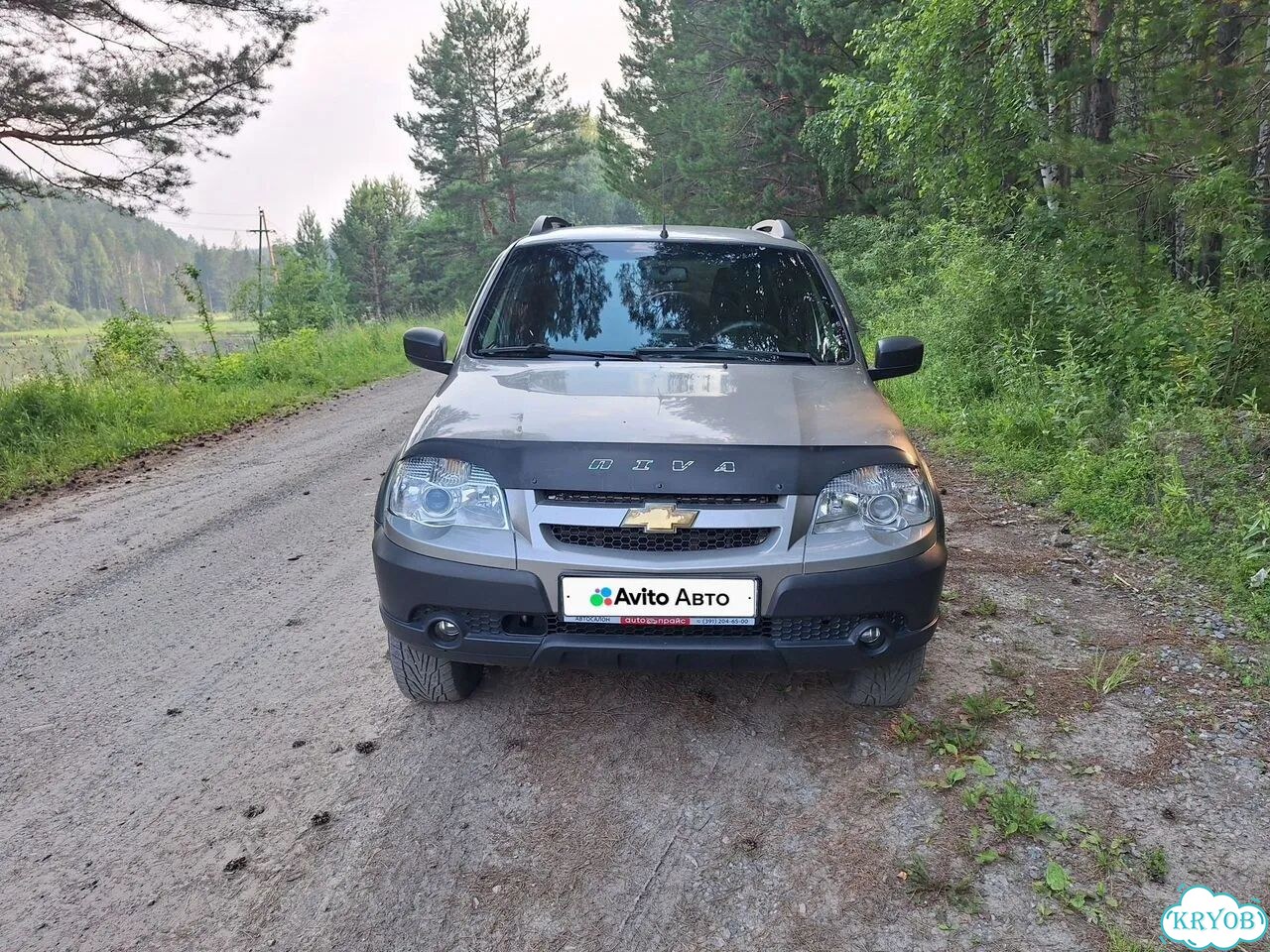 Chevrolet Niva 1.7 MT, 2018, 100 000 км фото 2