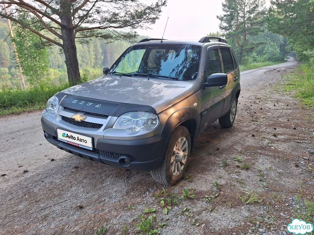 Chevrolet Niva 1.7 MT, 2018, 100 000 км фото 3