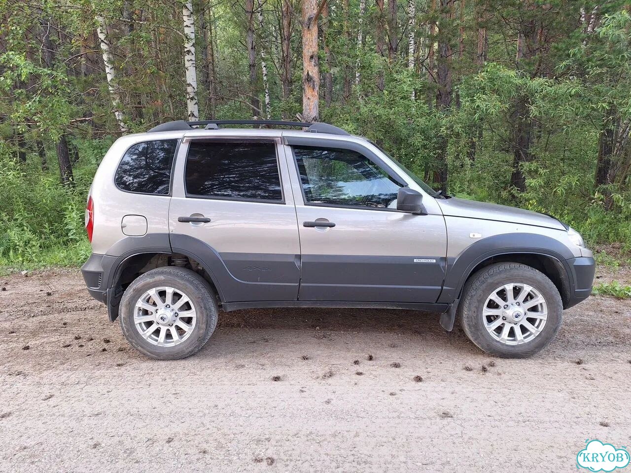Chevrolet Niva 1.7 MT, 2018, 100 000 км фото 4
