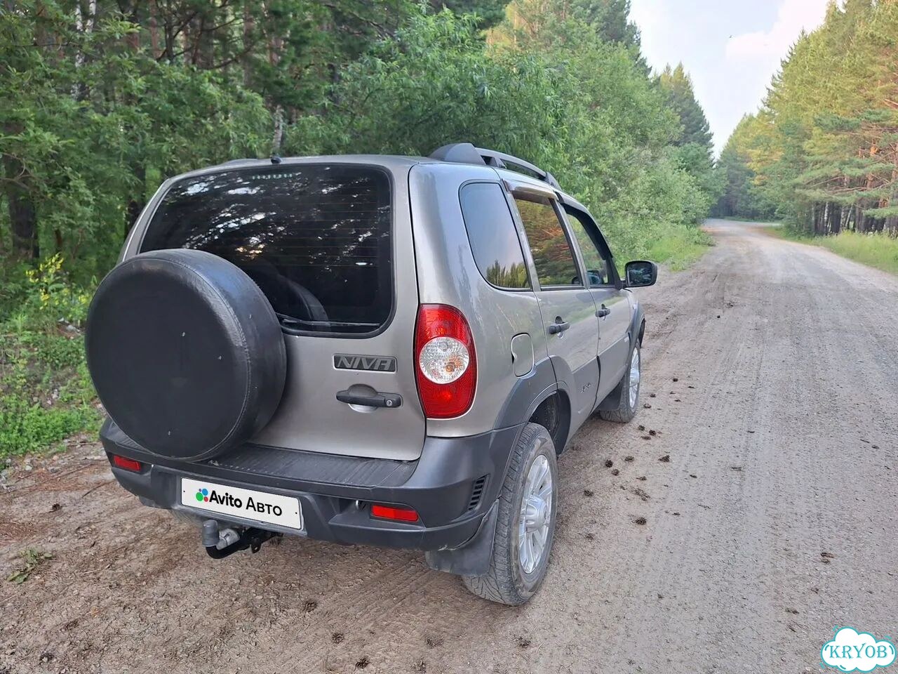 Chevrolet Niva 1.7 MT, 2018, 100 000 км фото 7