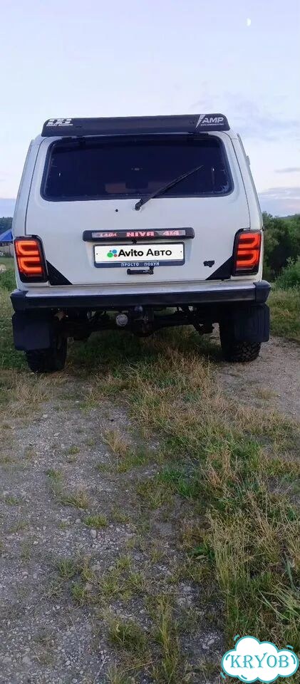 ВАЗ (LADA) 4x4 (Нива) 1.7 MT, 1995, 239 269 км фото 2