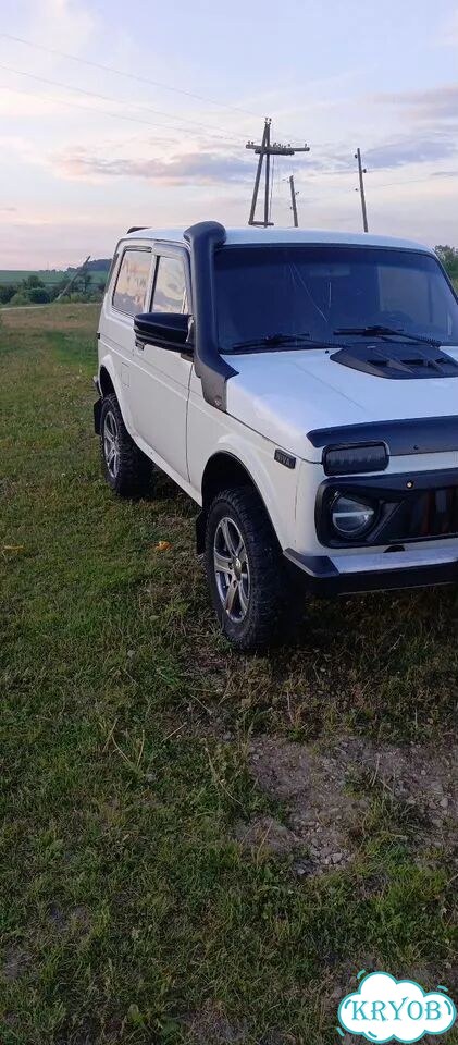 ВАЗ (LADA) 4x4 (Нива) 1.7 MT, 1995, 239 269 км фото 3