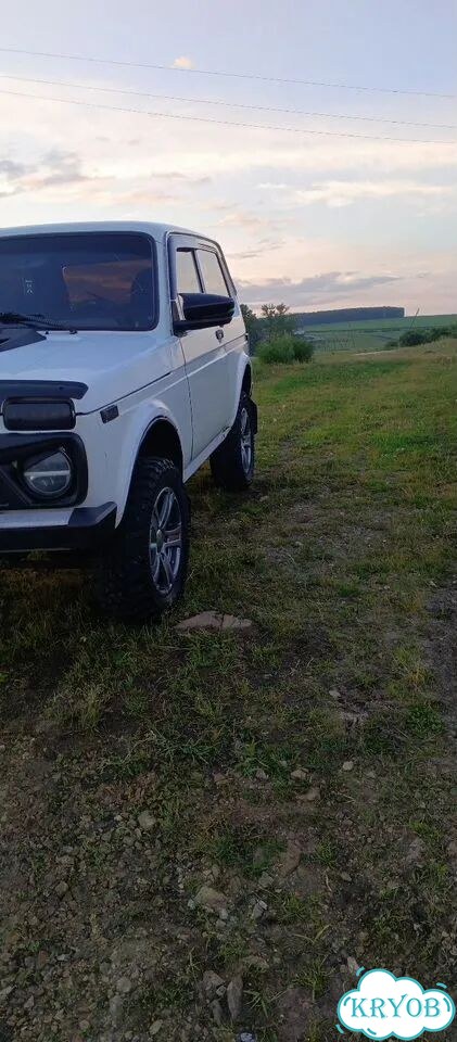 ВАЗ (LADA) 4x4 (Нива) 1.7 MT, 1995, 239 269 км фото 4