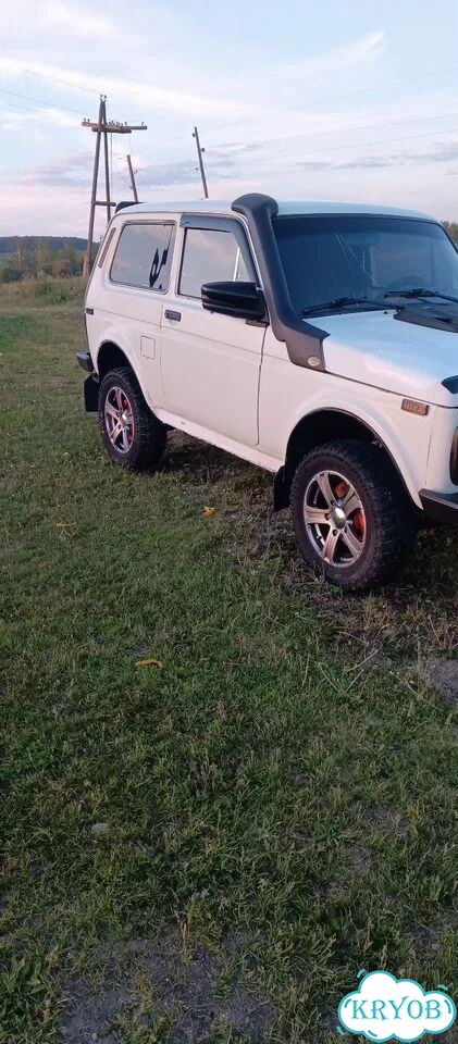 ВАЗ (LADA) 4x4 (Нива) 1.7 MT, 1995, 239 269 км фото 6