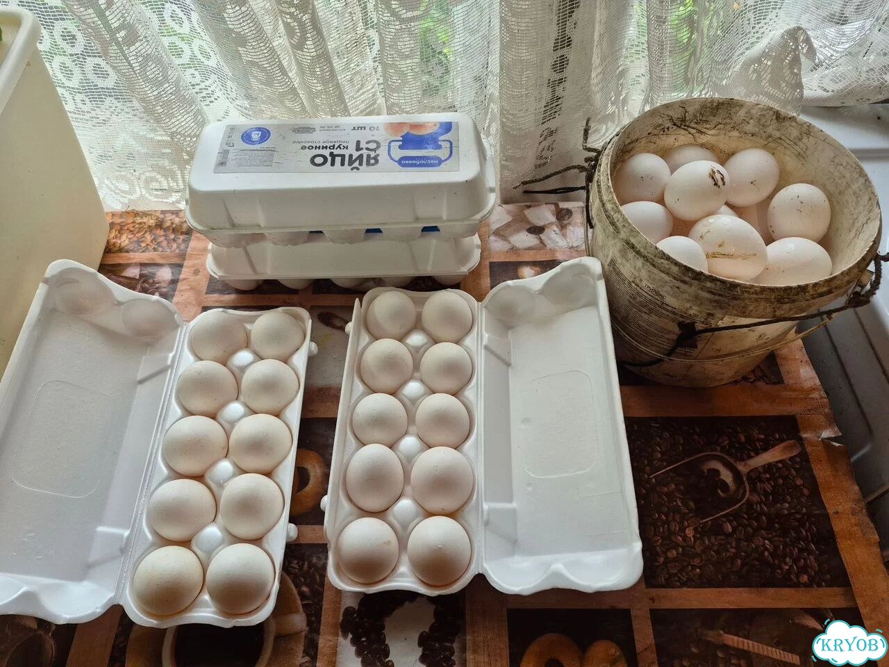 Домашние куриные яйца свежие фото 2