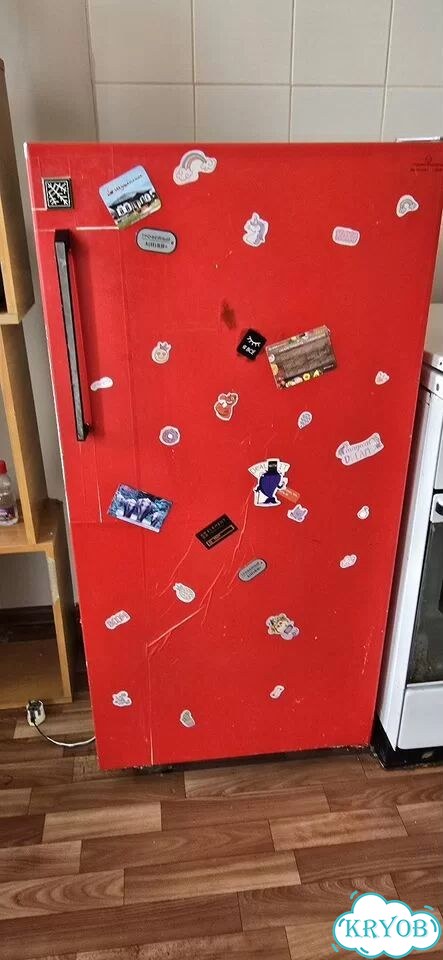 Холодильник Бирюса 22 бу фото 1