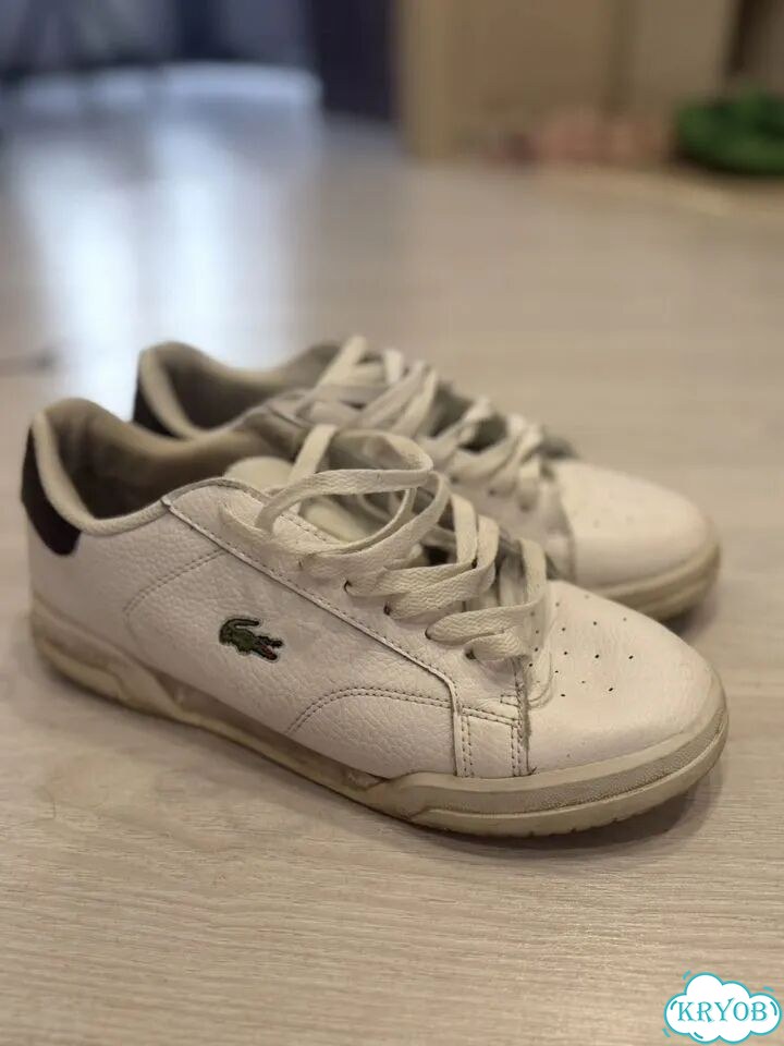 Lacoste кеды мужские фото 1
