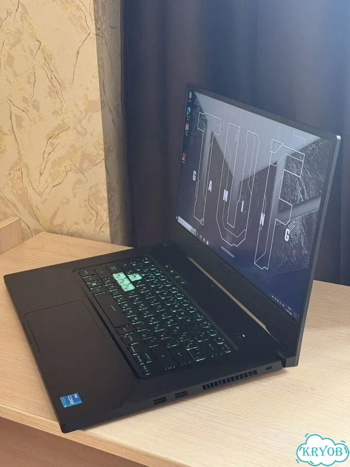 Asus TUF Dash 3050Ti i5-11300H 144Hz фото 7
