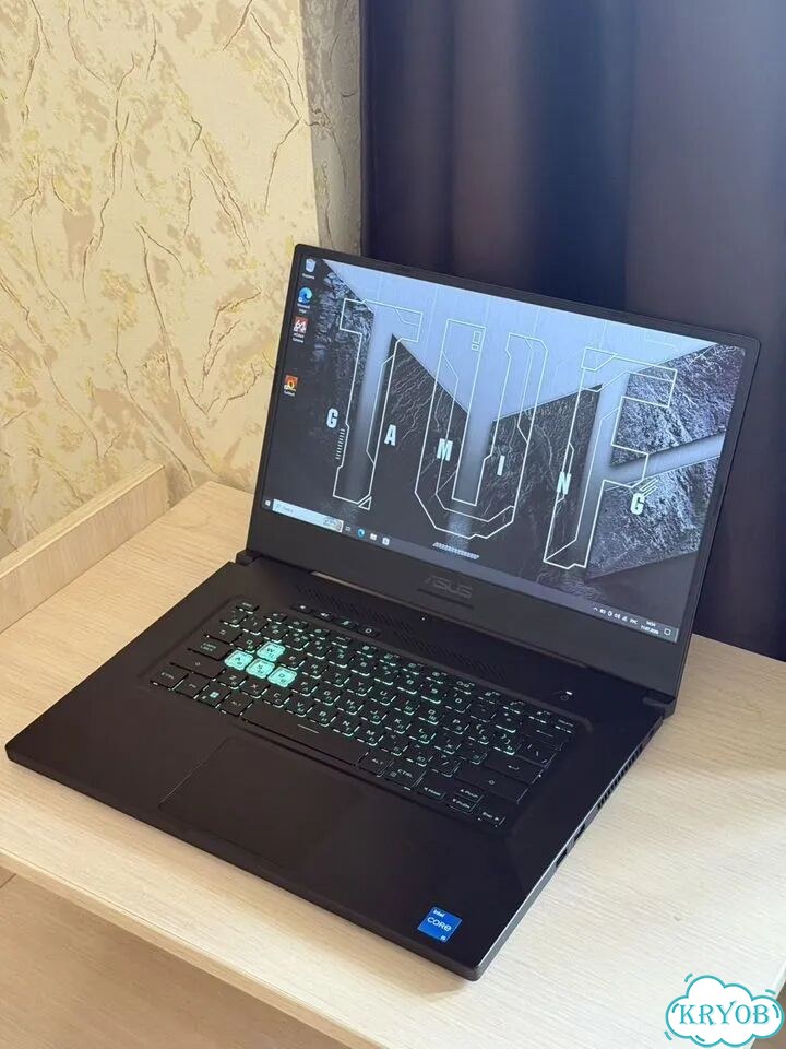 Asus TUF Dash 3050Ti i5-11300H 144Hz фото 8