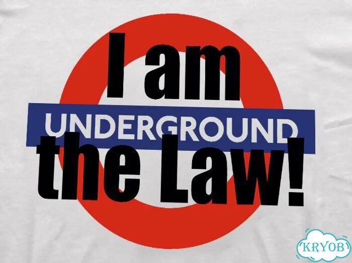 Футболка белая Vetements I am Undeground The Law t-Shirt Rare Japan darkwear gothic unisex DAC0242 фото 2