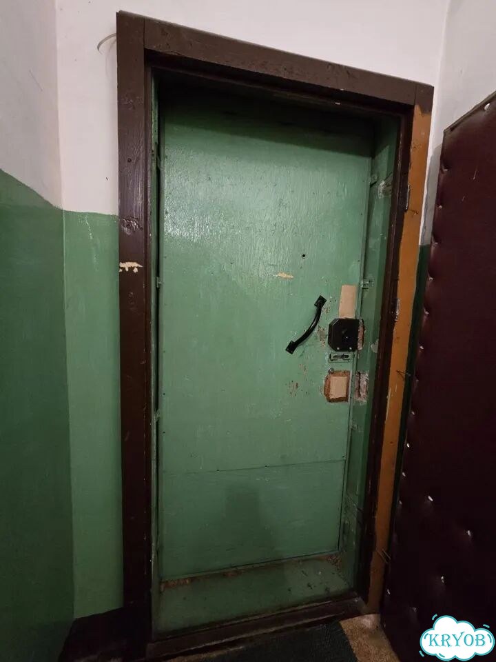 Дверь входная деревянная с коробкой бу фото 2