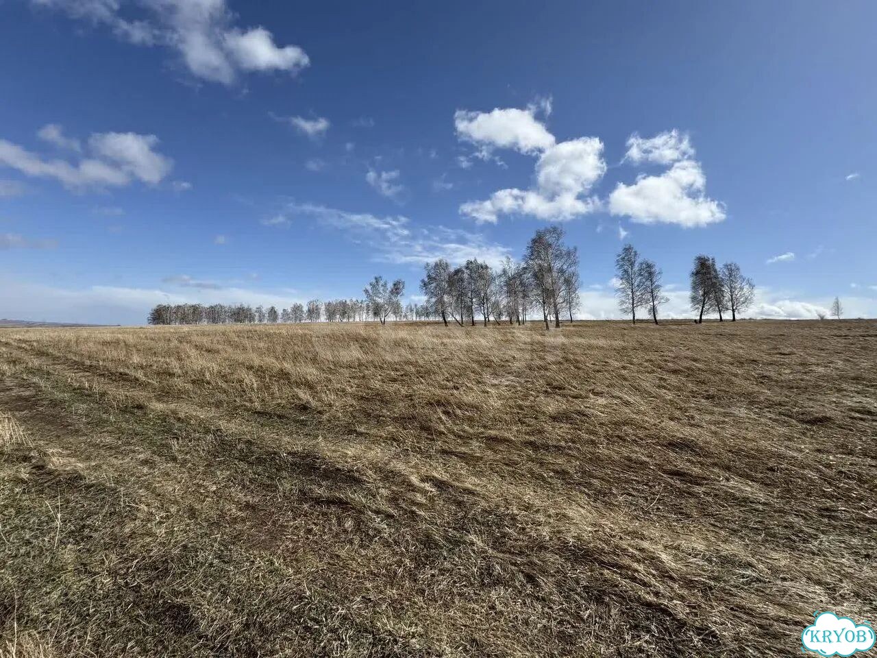 Участок 4 га (СНТ, ДНП) фото 14