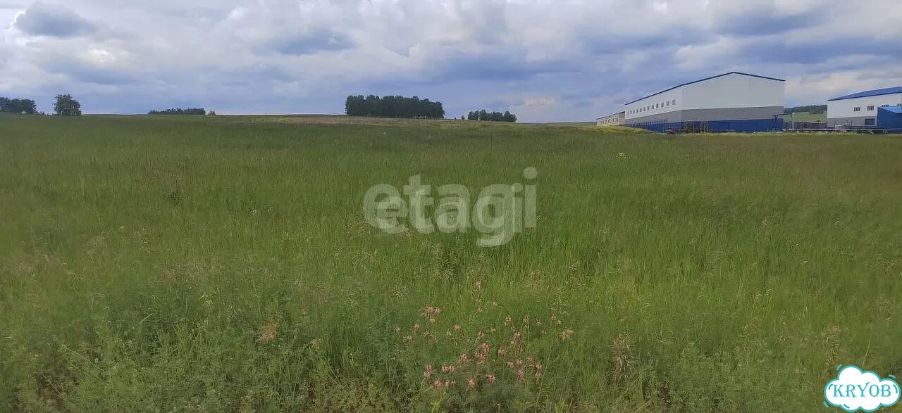 Участок 4 га (СНТ, ДНП) фото 5