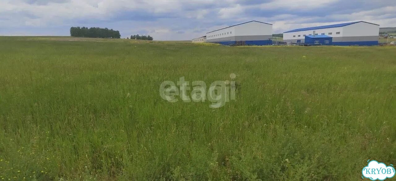 Участок 4 га (СНТ, ДНП) фото 9