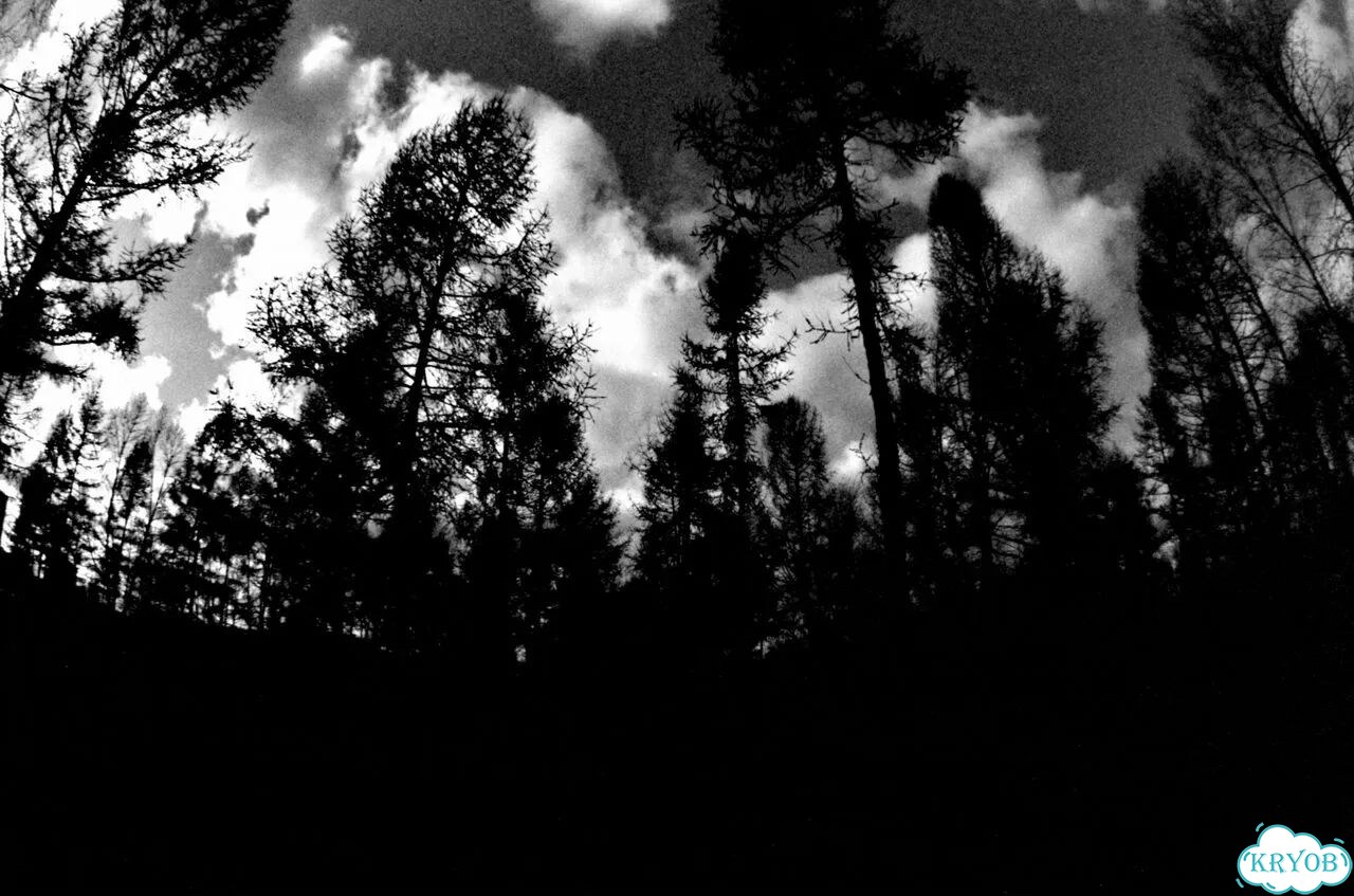 MC Zenitar-N 16 mm f2.8 Nikon F фото 8