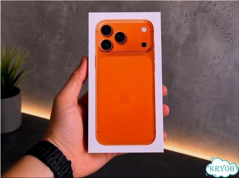 iPhone 17 Pro Max, 256 ГБ, SIM + eSIM фото 1