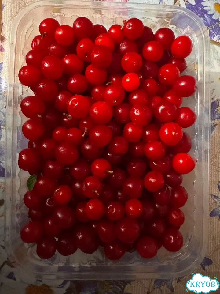 Войлочная вишня фото 2