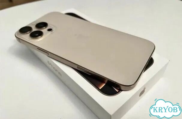 iPhone 16 Pro Max, 256 ГБ, SIM + eSIM фото 2