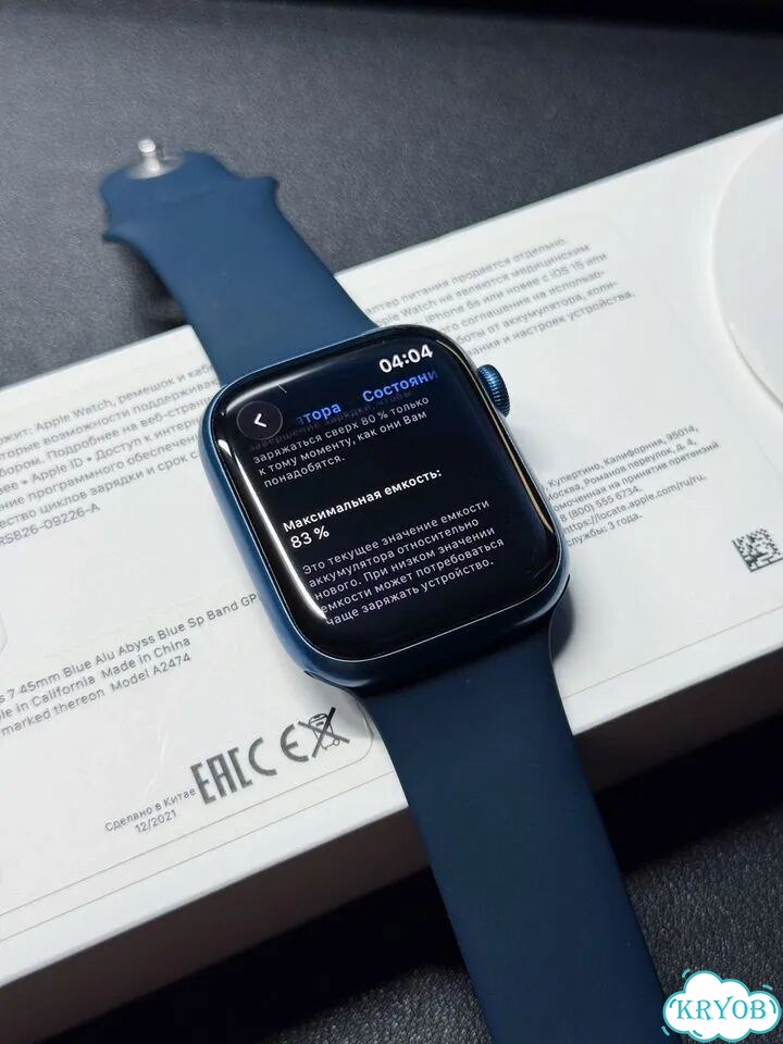 Apple Watch Series 7 45mm фото 4