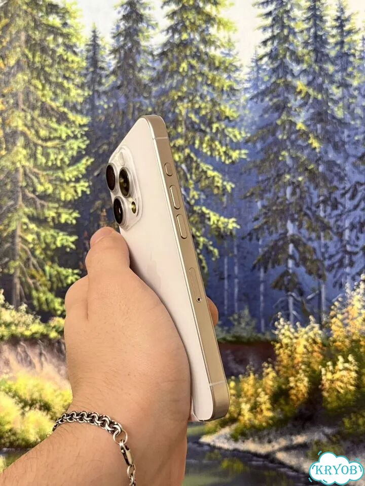 iPhone 15 Pro, 256 ГБ, 2 SIM фото 4