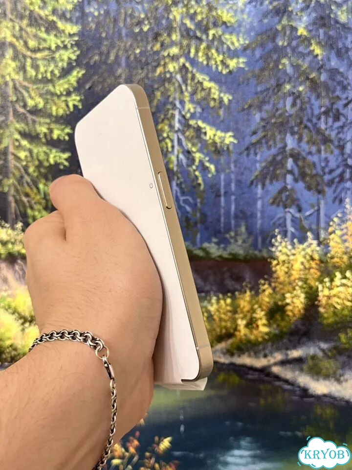 iPhone 15 Pro, 256 ГБ, 2 SIM фото 5