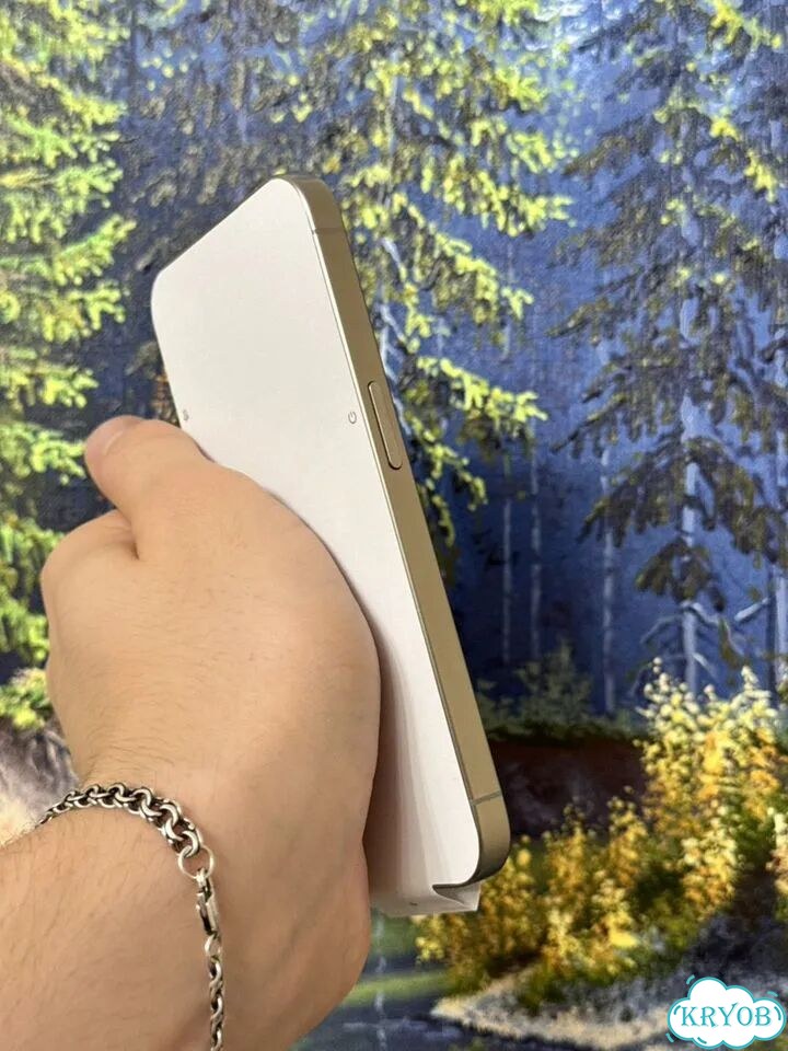 iPhone 15 Pro, 256 ГБ, 2 SIM фото 5