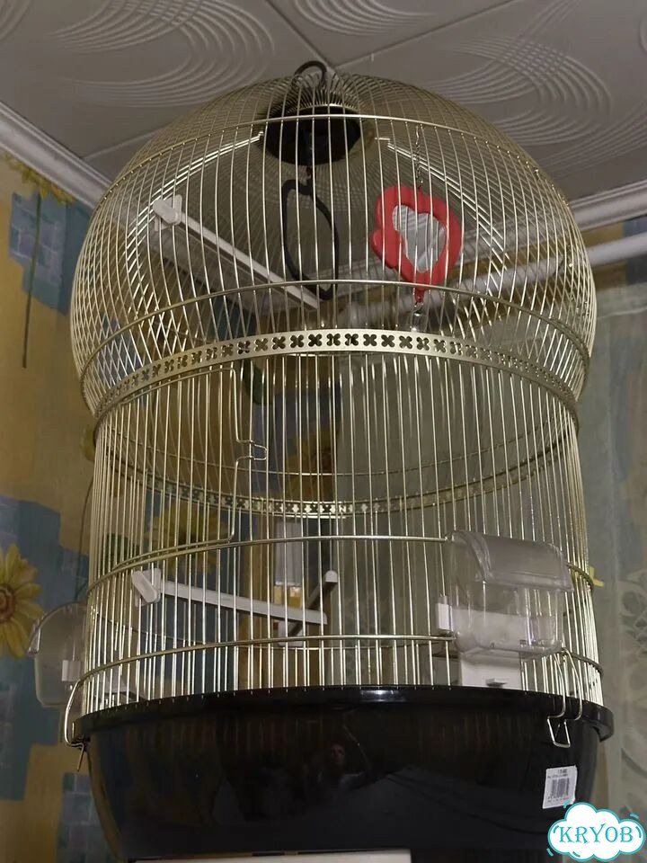Клетка для попугая фото 1