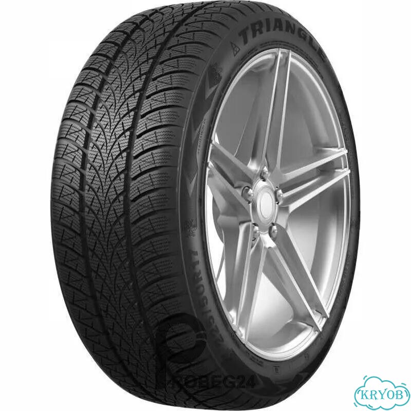 Triangle WinterX TW401 195/50 R16 H фото 1