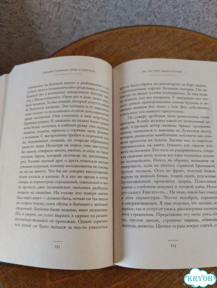 Дни Савелия, книга фото 3