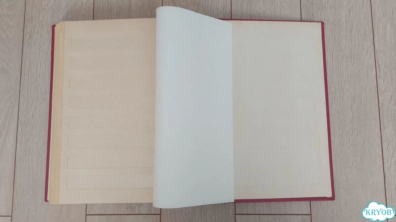 Альбом для марок. Кляссер. 12 листов. СССР фото 8