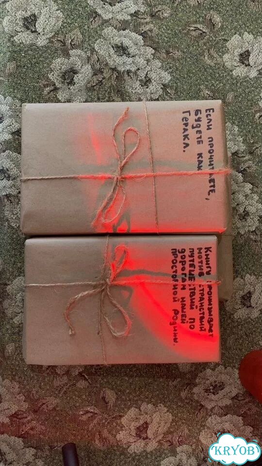 Книга вслепую фото 2
