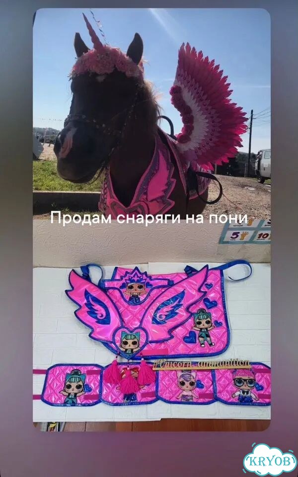 Снаряжение для пони фото 1