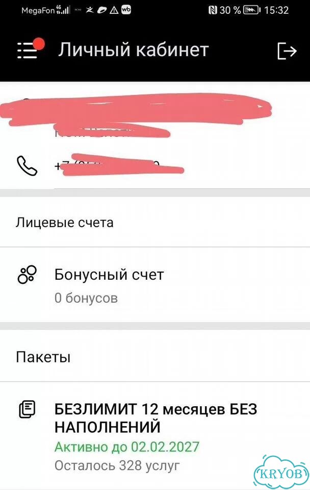 Абонен HOM (Yoga Home) безлимит с реформерами фото 2