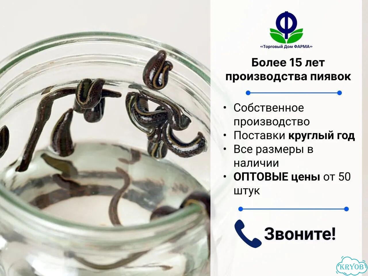 Косметическая медицинская пиявка (0,1–0,4 гр) фото 1