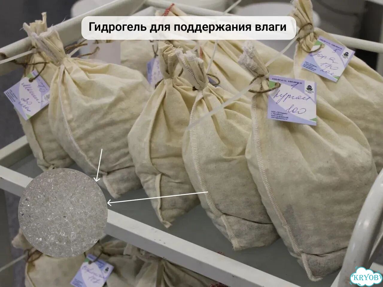 Косметическая медицинская пиявка (0,1–0,4 гр) фото 4