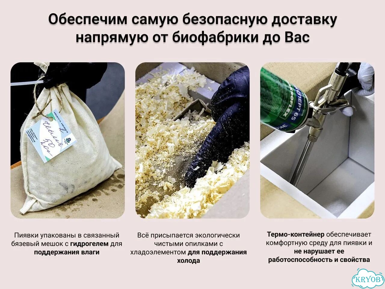 Косметическая медицинская пиявка (0,1–0,4 гр) фото 8