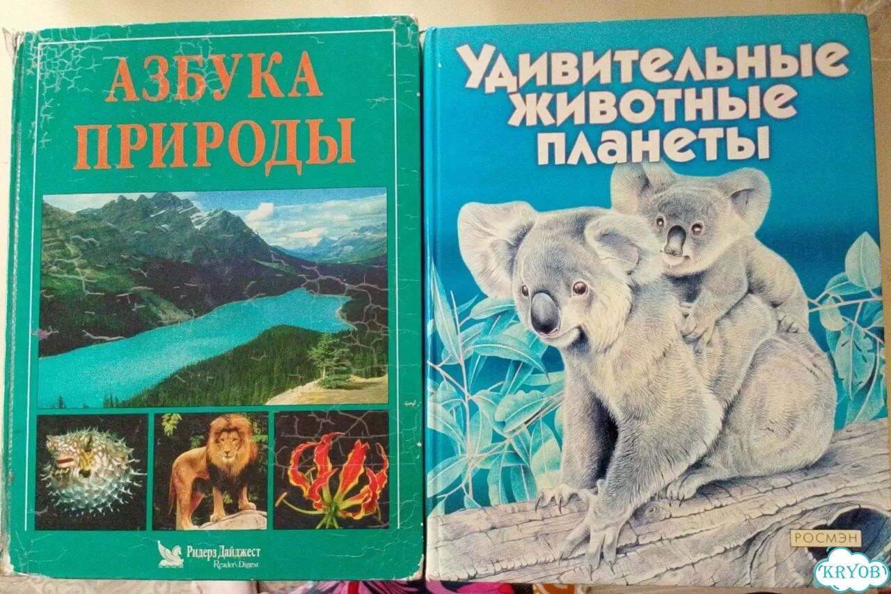 Продаю книги (красочные иллюстрации) фото 1