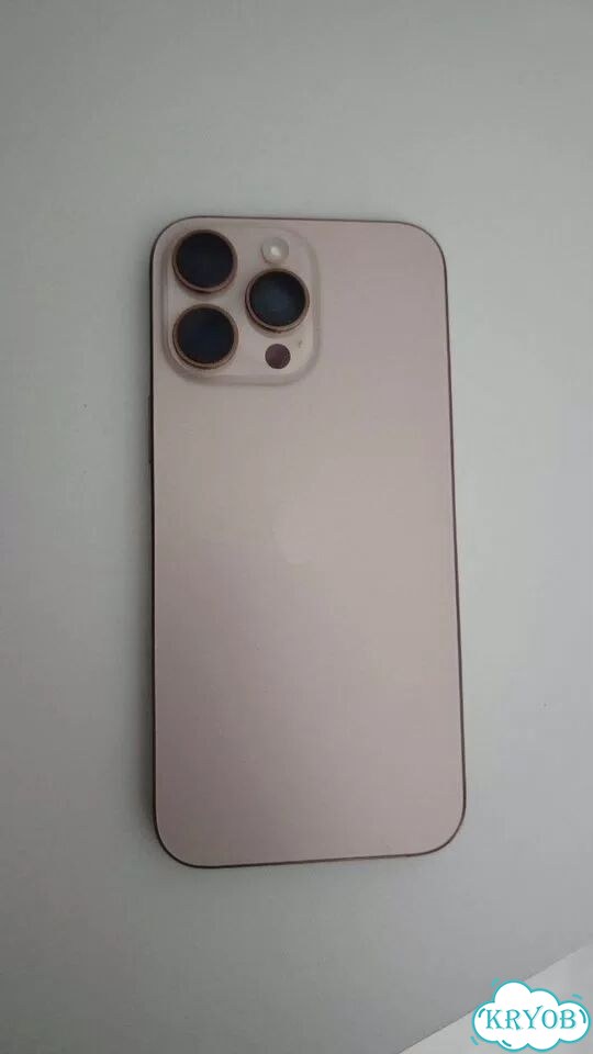 iPhone 16 Pro Max, 256 ГБ, SIM + eSIM фото 1