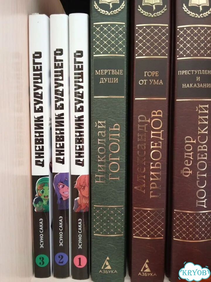 Манга Дневник будущего 1, 2, 3 тома фото 3