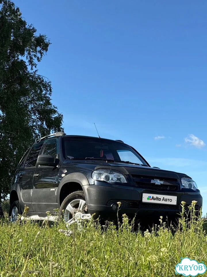 Chevrolet Niva 1.7 MT, 2014, 111 000 км фото 1