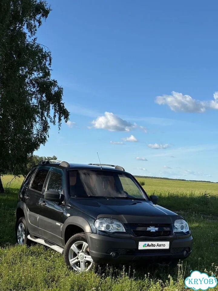 Chevrolet Niva 1.7 MT, 2014, 111 000 км фото 2