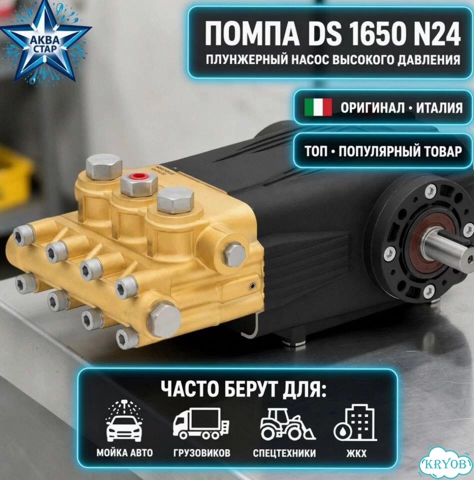 TOR DS1650-N24 — насос вд фото 1