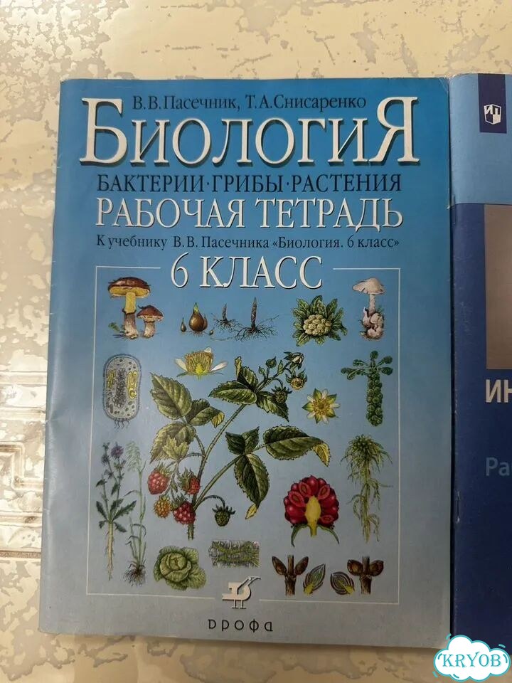Рабочие тетради 6 класс, информатика, биология фото 2