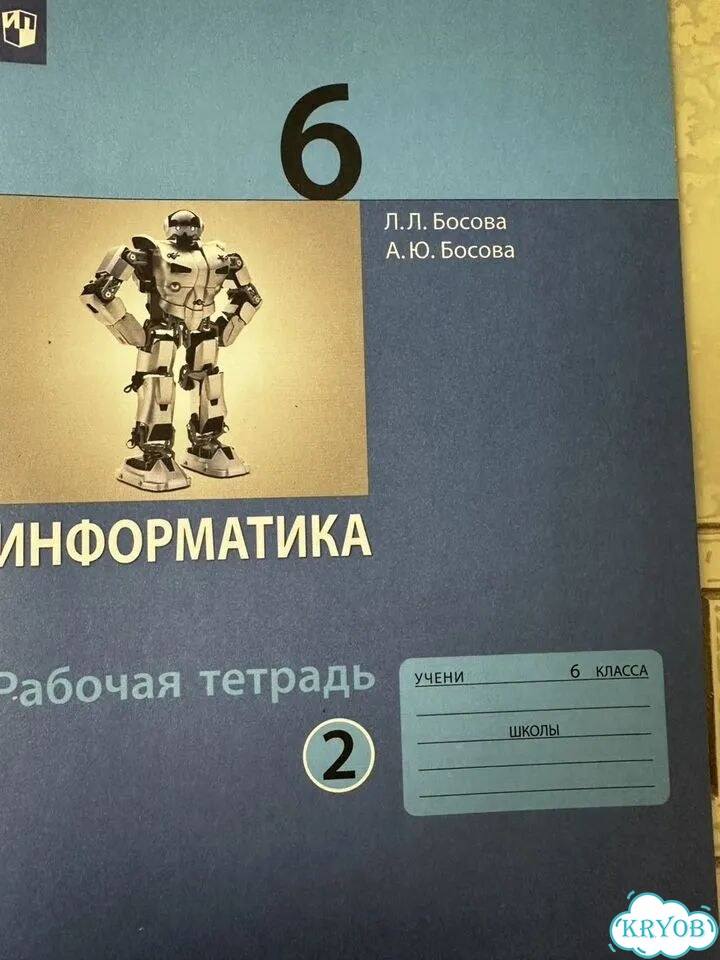 Рабочие тетради 6 класс, информатика, биология фото 3