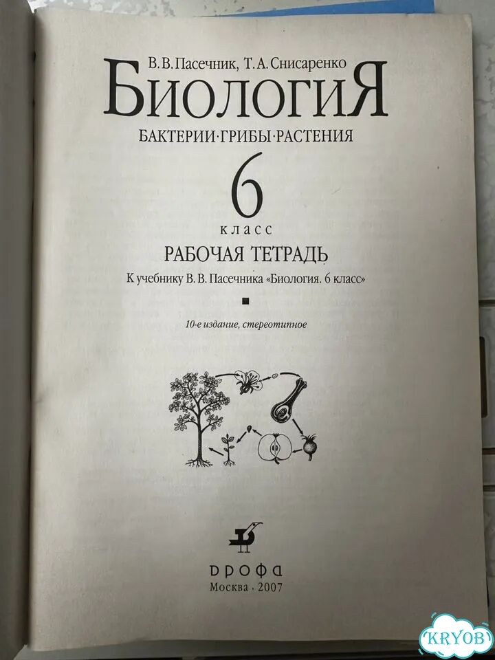 Рабочие тетради 6 класс, информатика, биология фото 5