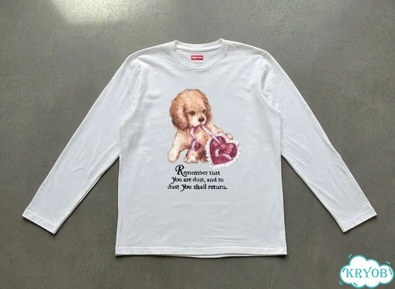 Лонгслив мужской Supreme белый Remember that streetwear vintage AC0019 фото 1