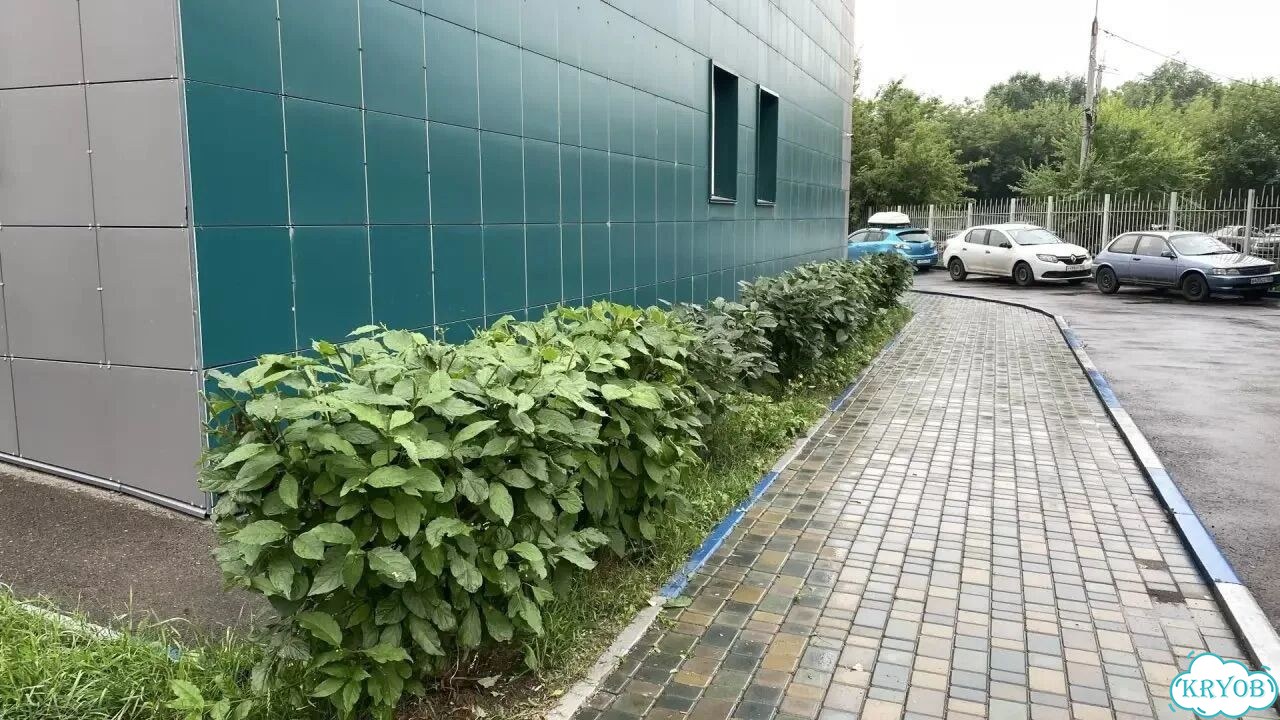 Подрезка кустов, деревьев. Уход за садом фото 1