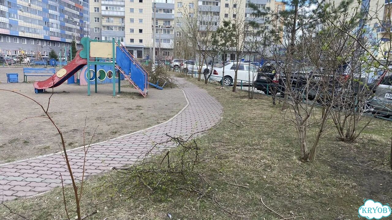 Подрезка кустов, деревьев. Уход за садом фото 5