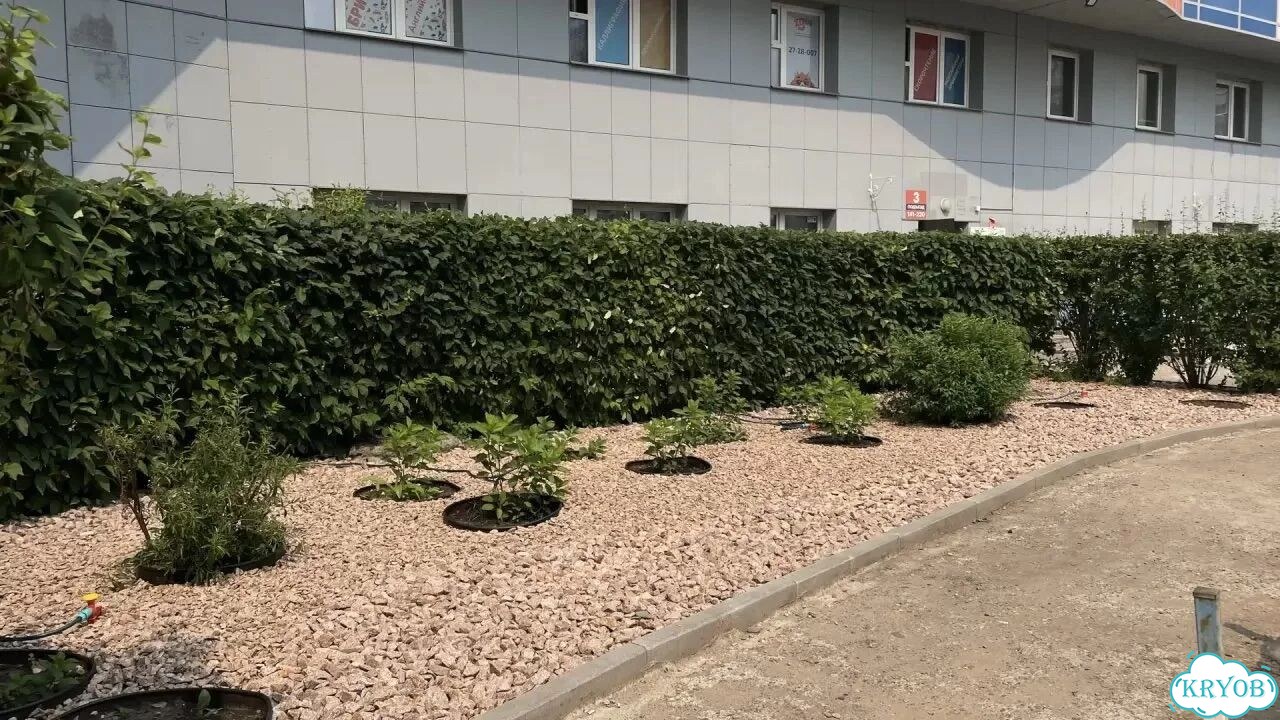 Подрезка кустов, деревьев. Уход за садом фото 6